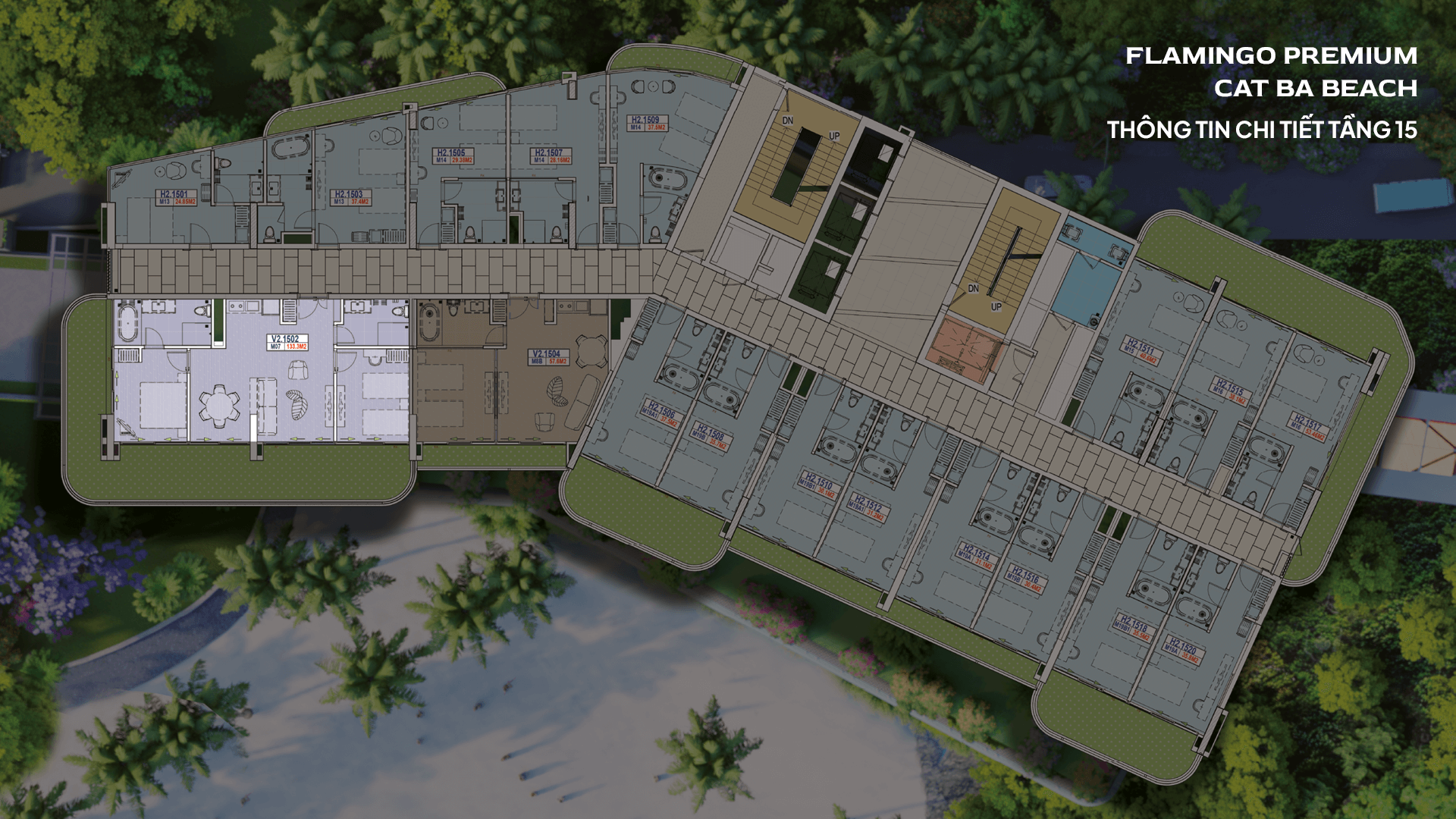 CatBa_Matbang_Toa1_08.2525