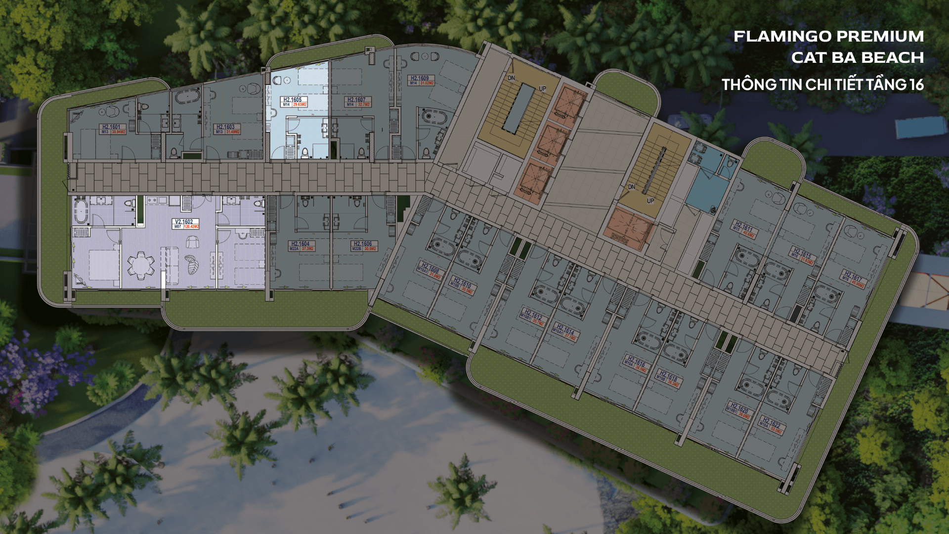 CatBa_Matbang_Toa1_08.2526